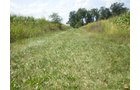 Property photo 4 - 40 Acres in 4 Tracts - Great Location!
